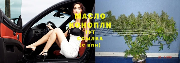 твердый Надым