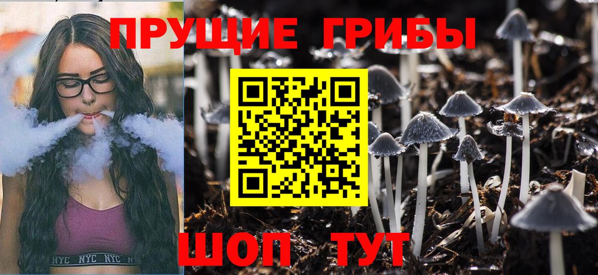 Галлюциногенные грибы Magic Shrooms Омск