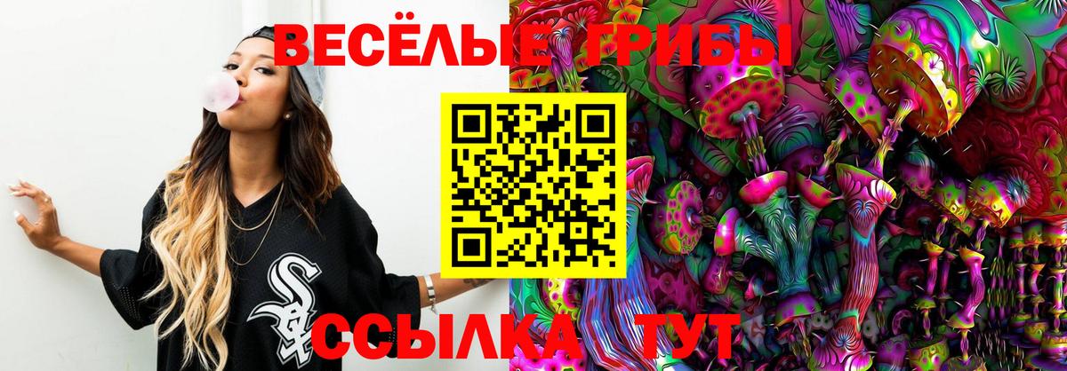 Омск  Галлюциногенные грибы Magic Shrooms  Вход с VPN 