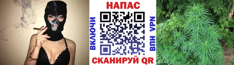 наркота  Омск  Шишки марихуана планчик 